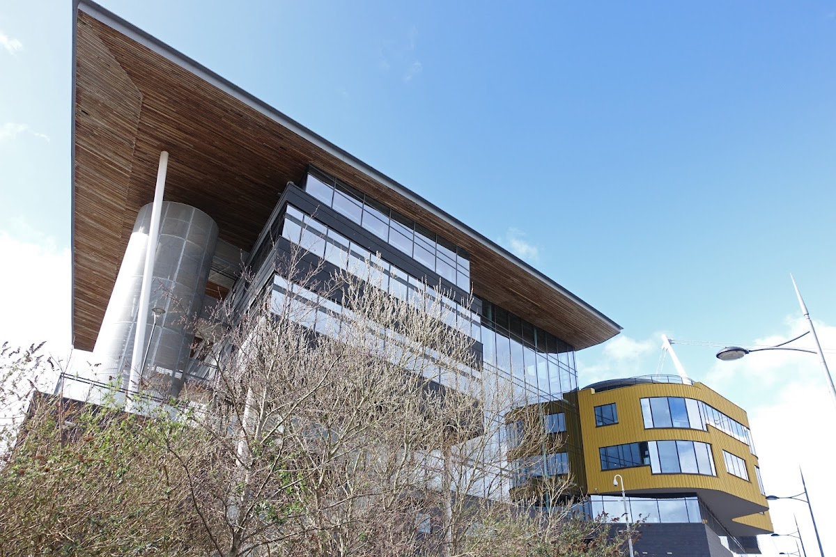 University of Newport photo 3