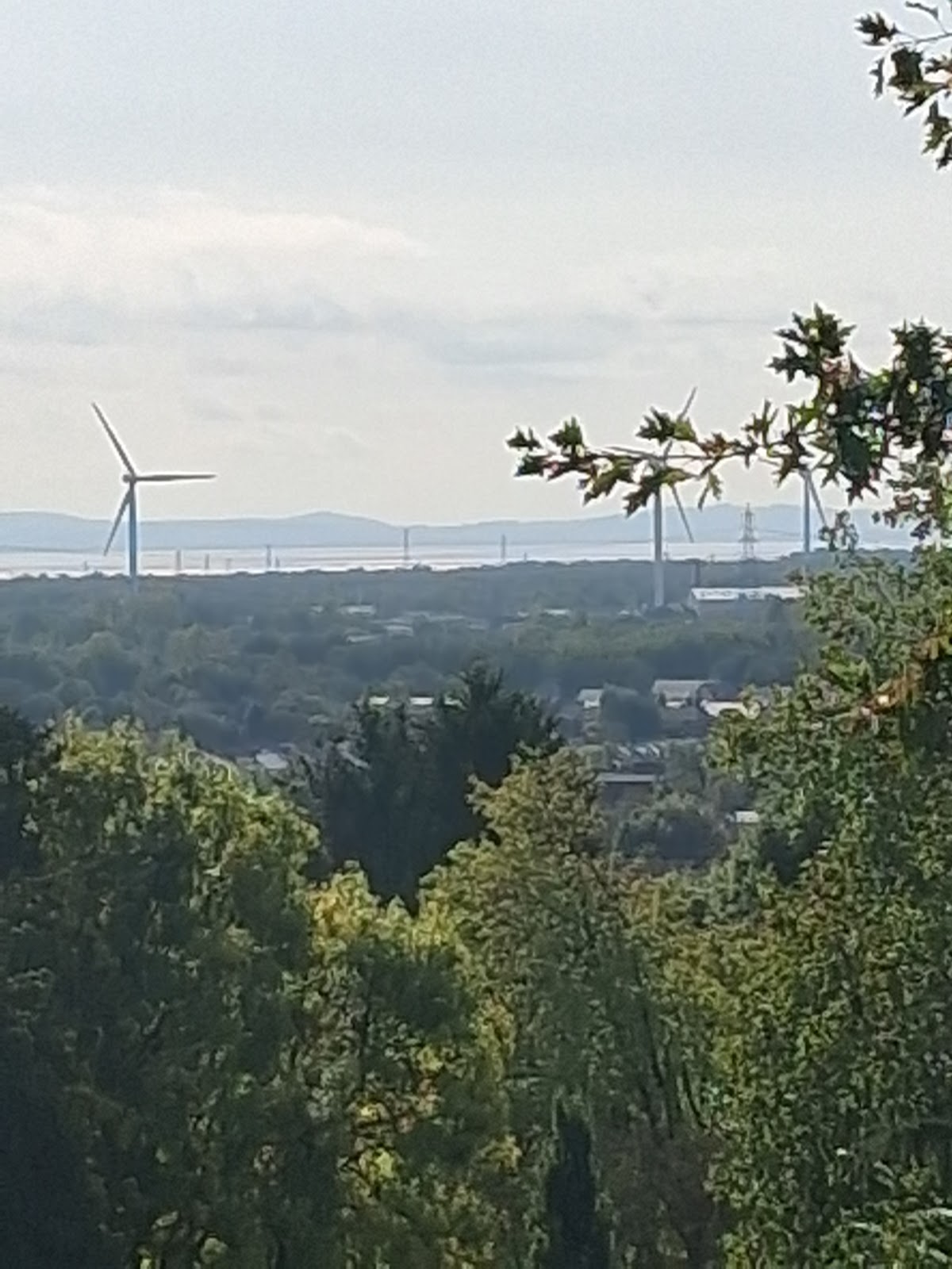 University of Newport photo 8