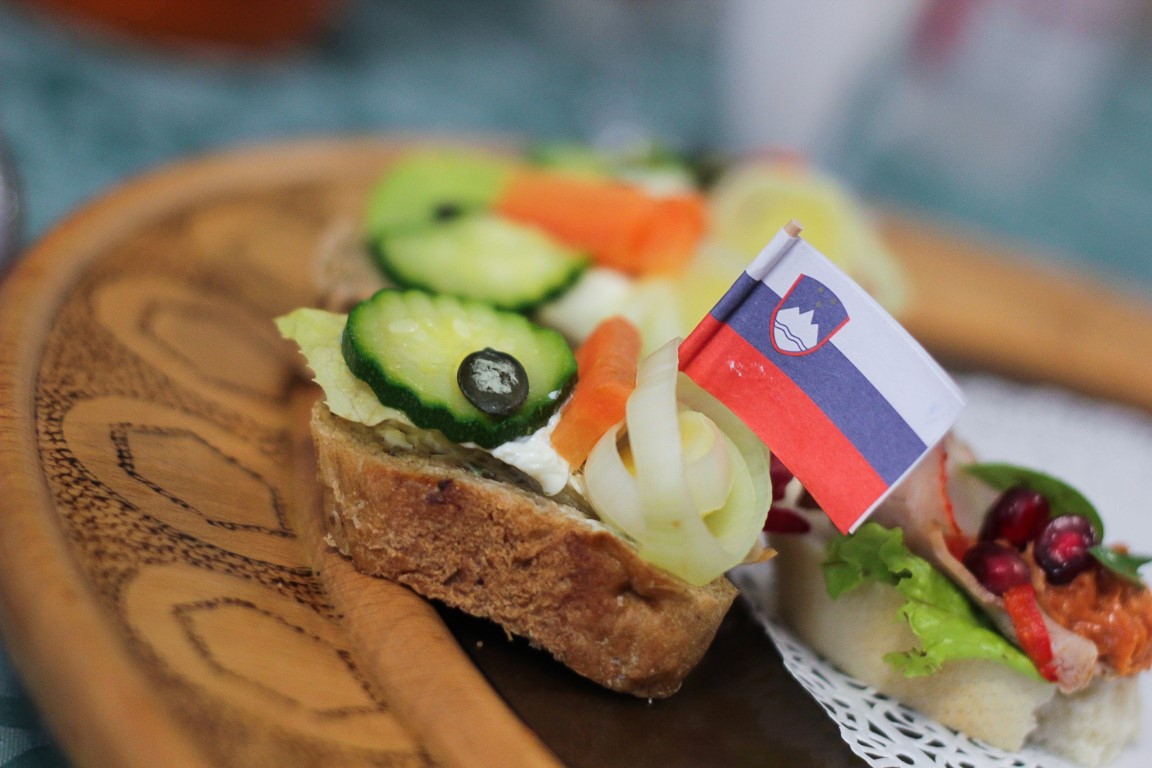 Faculty of Information Studies in Novo Mesto photo 2