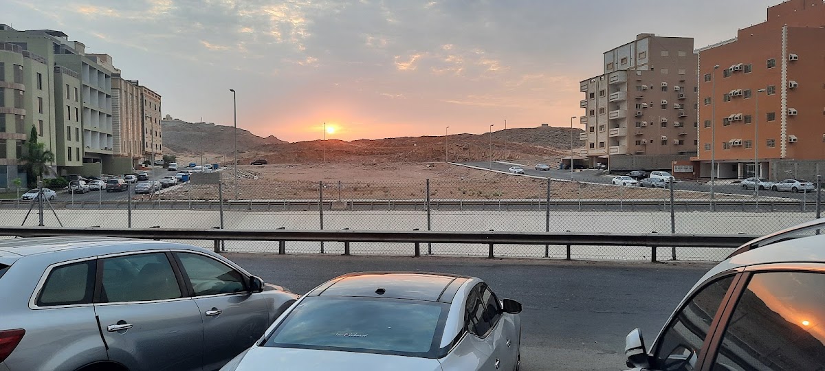 Ibn Sina National College for Medical Studies photo 2