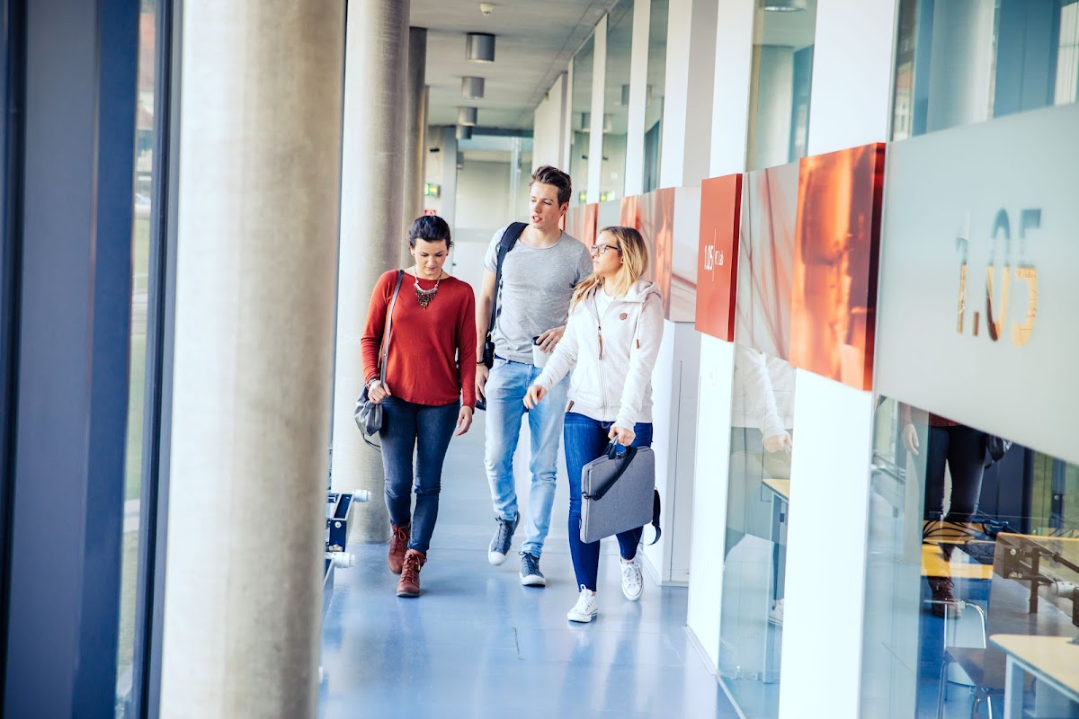 IMC University of Applied Sciences Krems photo 5