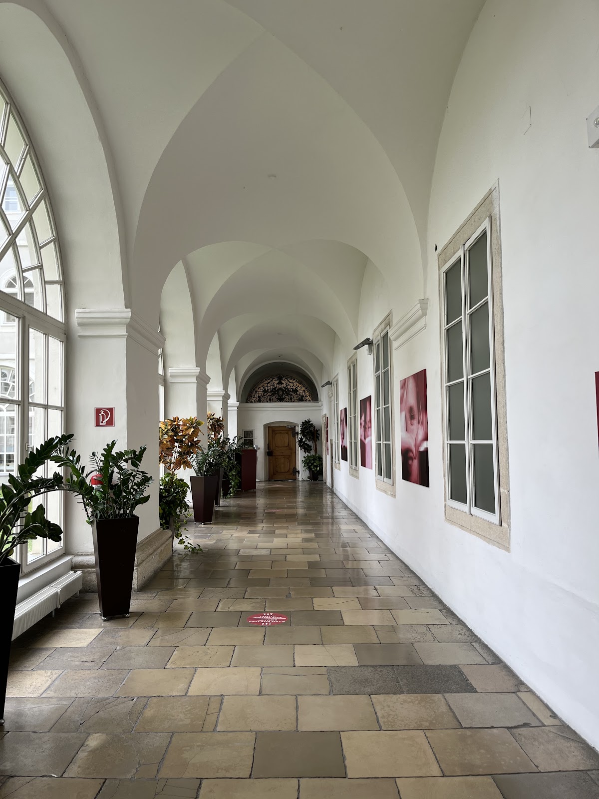 IMC University of Applied Sciences Krems photo 9