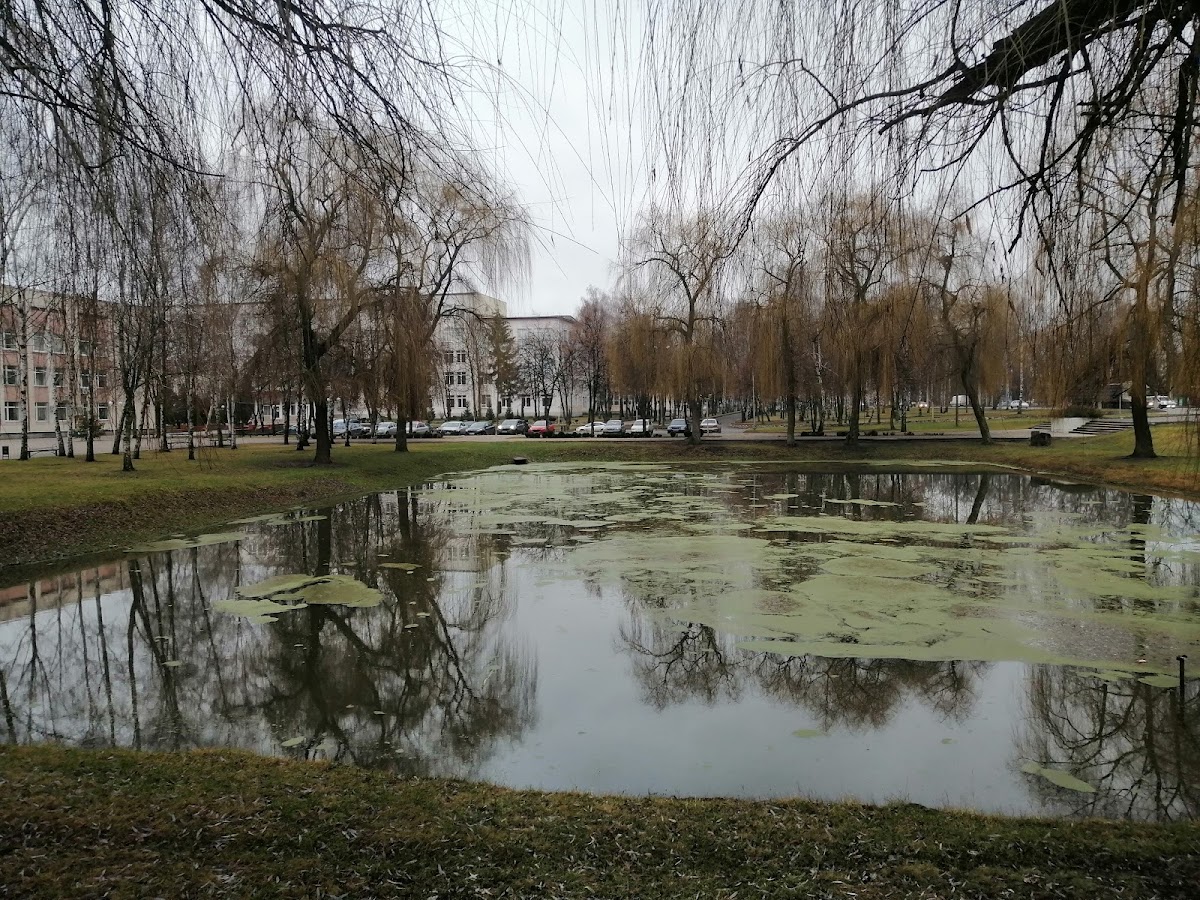 Sumy State University photo 6