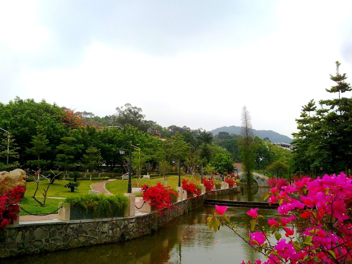 Guangdong University of Foreign Studies photo 6