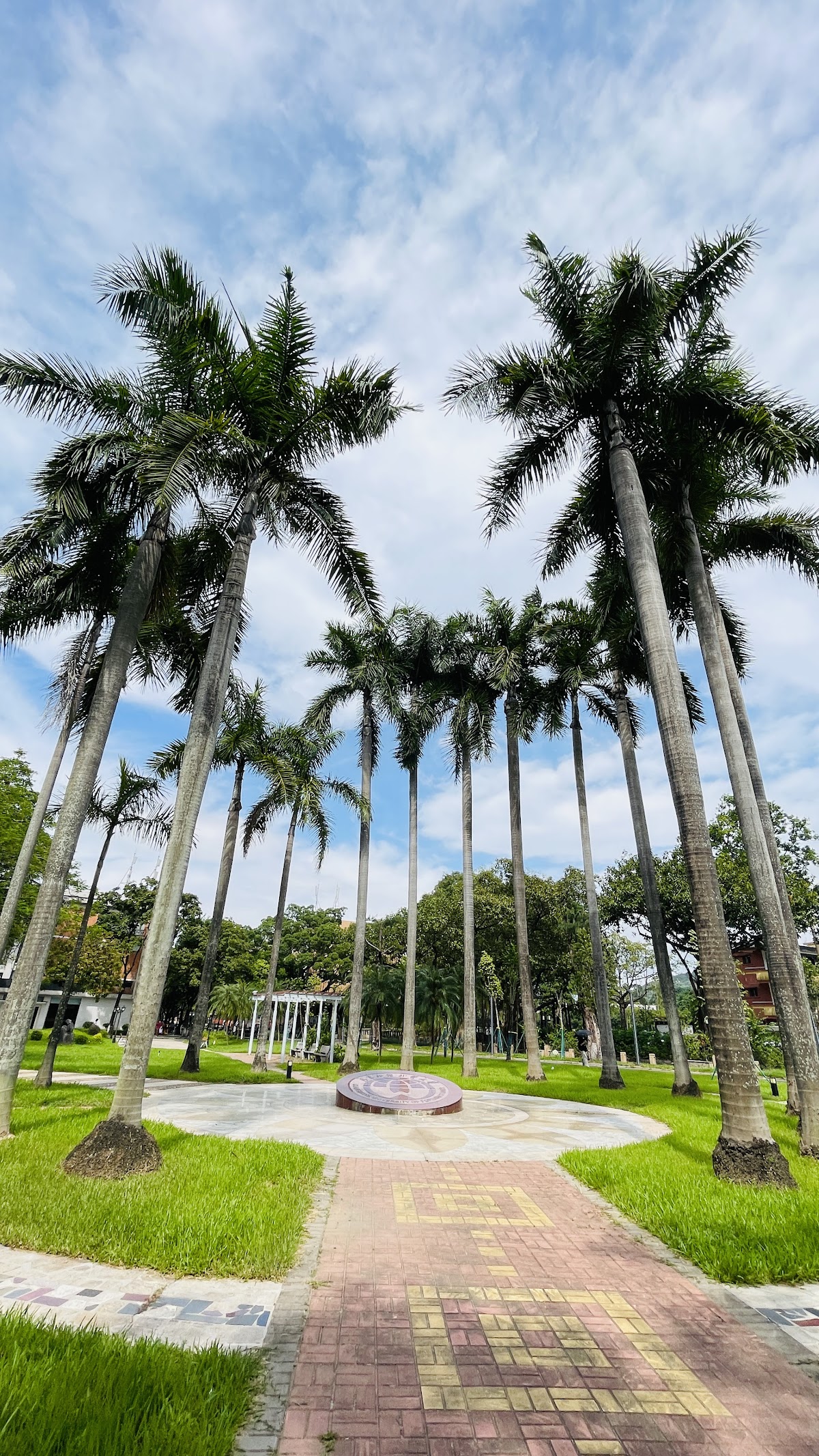 Guangdong University of Foreign Studies photo 9