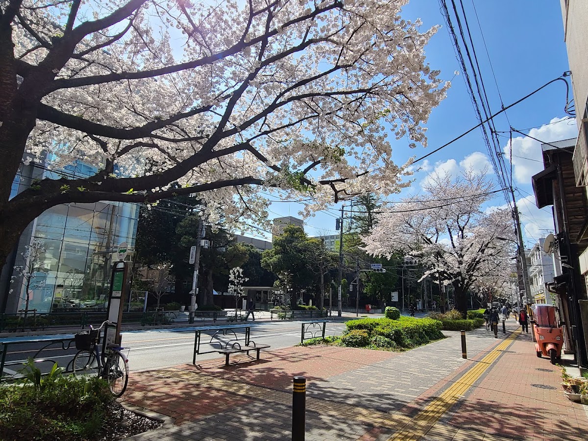 Musashi University photo 6