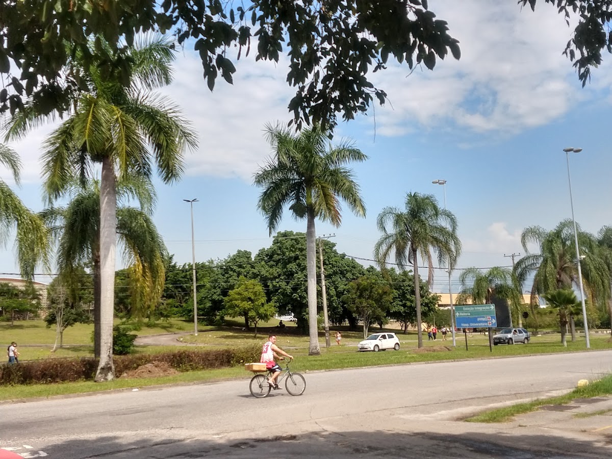 University of the State of Rio de Janeiro photo 5