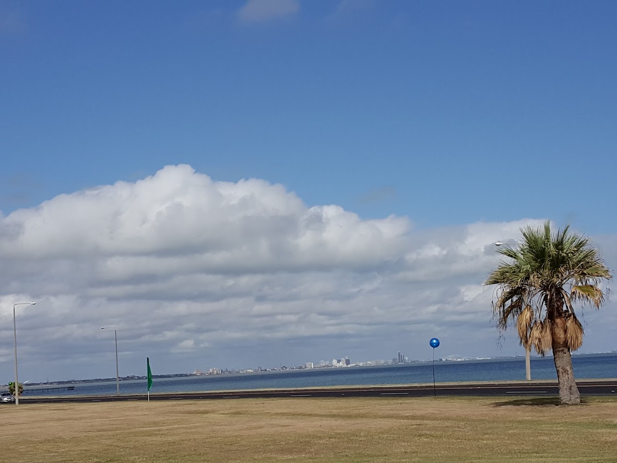 Texas A&M University-Corpus Christi photo 7
