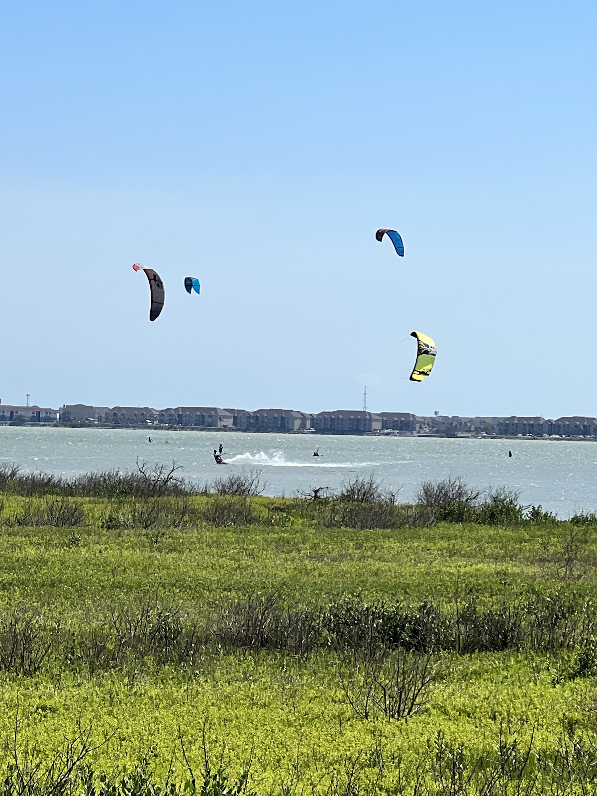 Texas A&M University-Corpus Christi photo 8