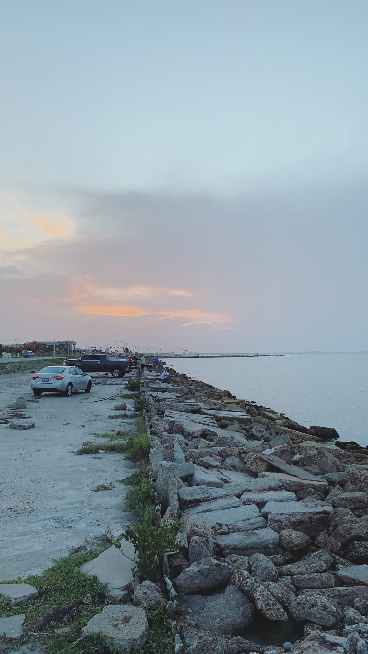 Texas A&M University-Corpus Christi photo 9