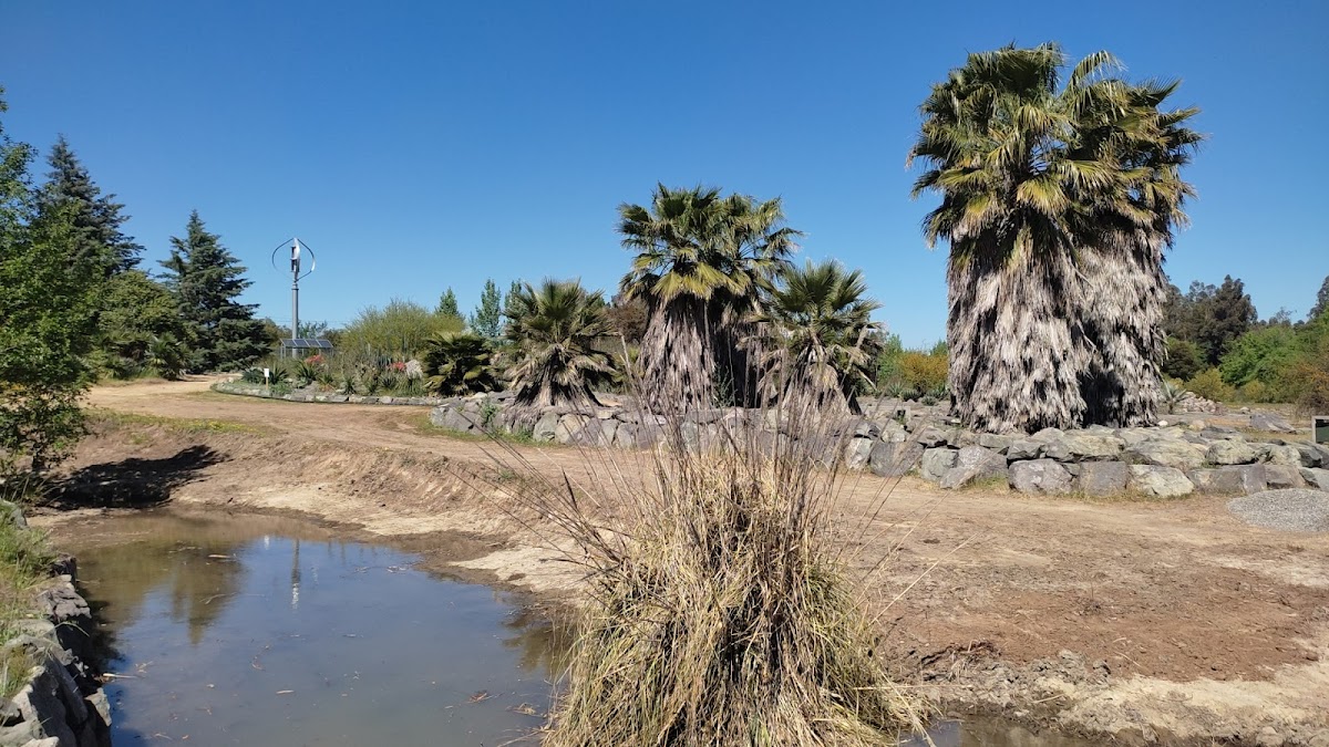 University of Talca photo 1
