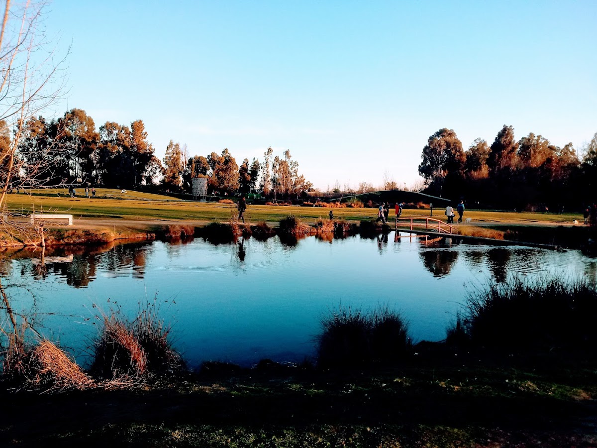 University of Talca photo 2