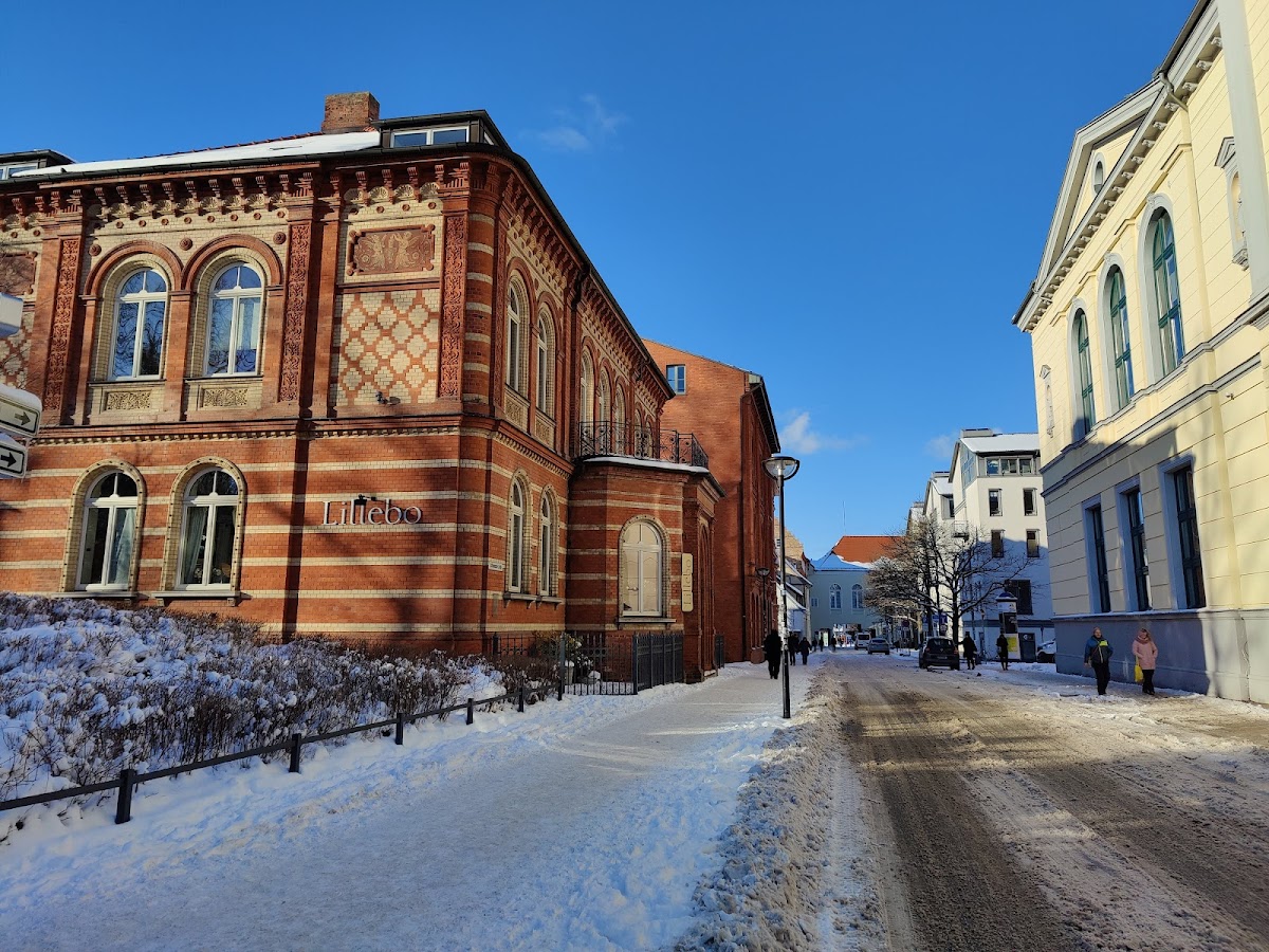 Conservatorium zu Rostock photo 4