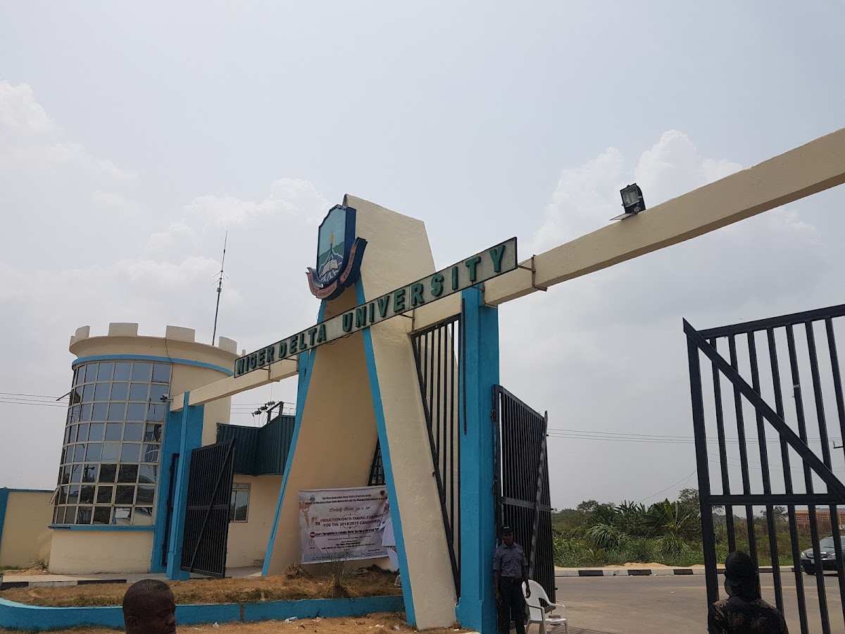 Niger Delta University photo 4