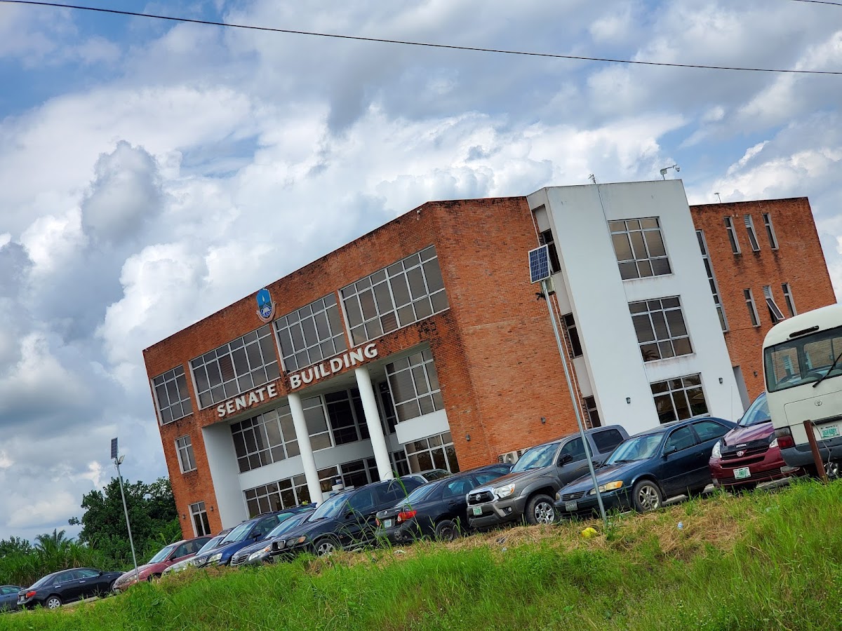 Niger Delta University photo 6