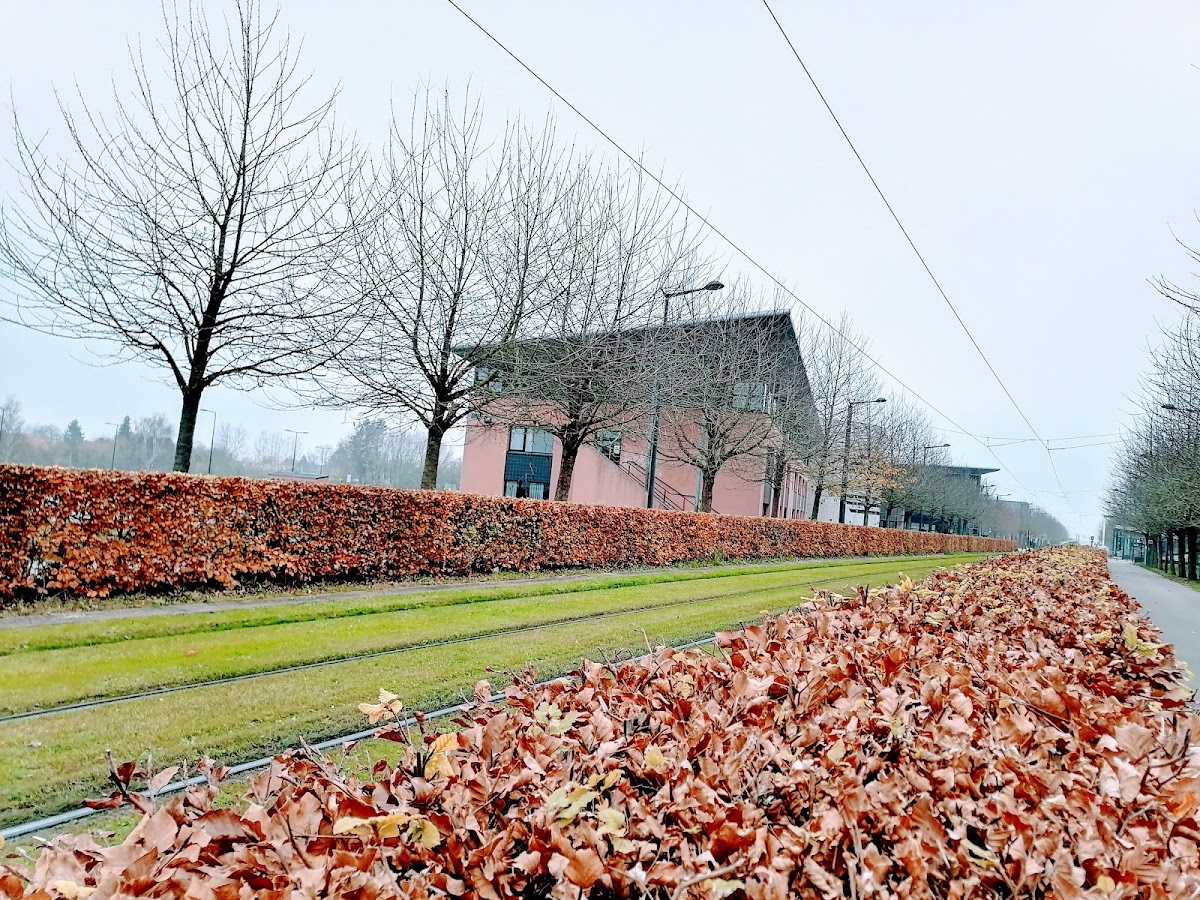 Université de Valenciennes et du Hainaut-Cambrésis photo 3