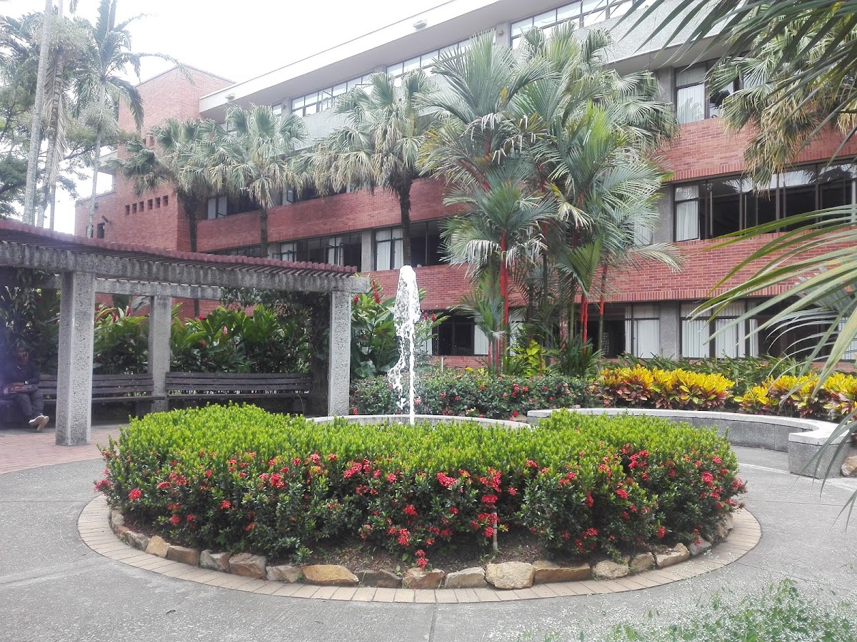 Universidad Autónoma de Occidente photo 6