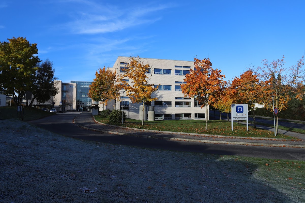 Aalesund University College photo 3