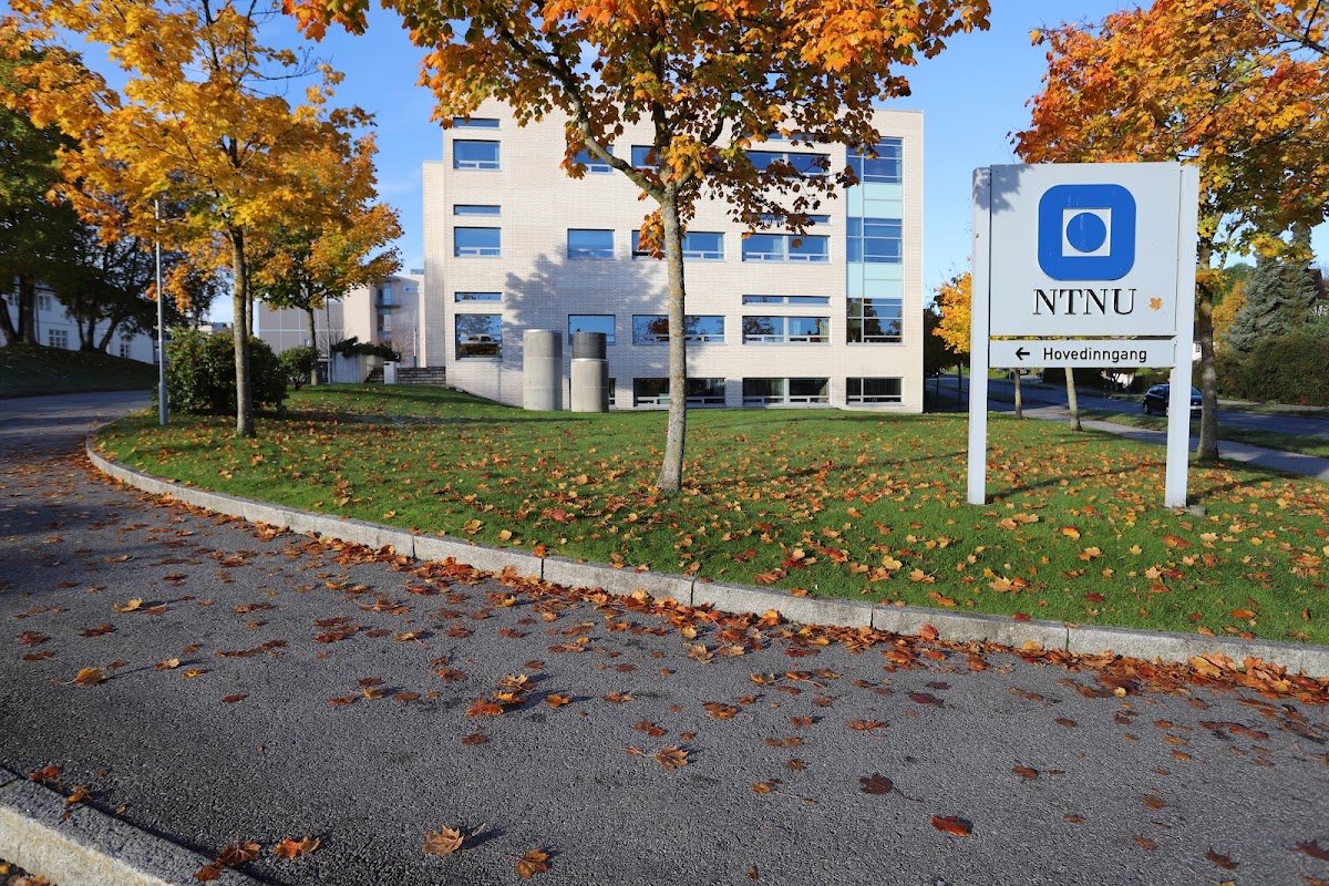 Aalesund University College photo 4