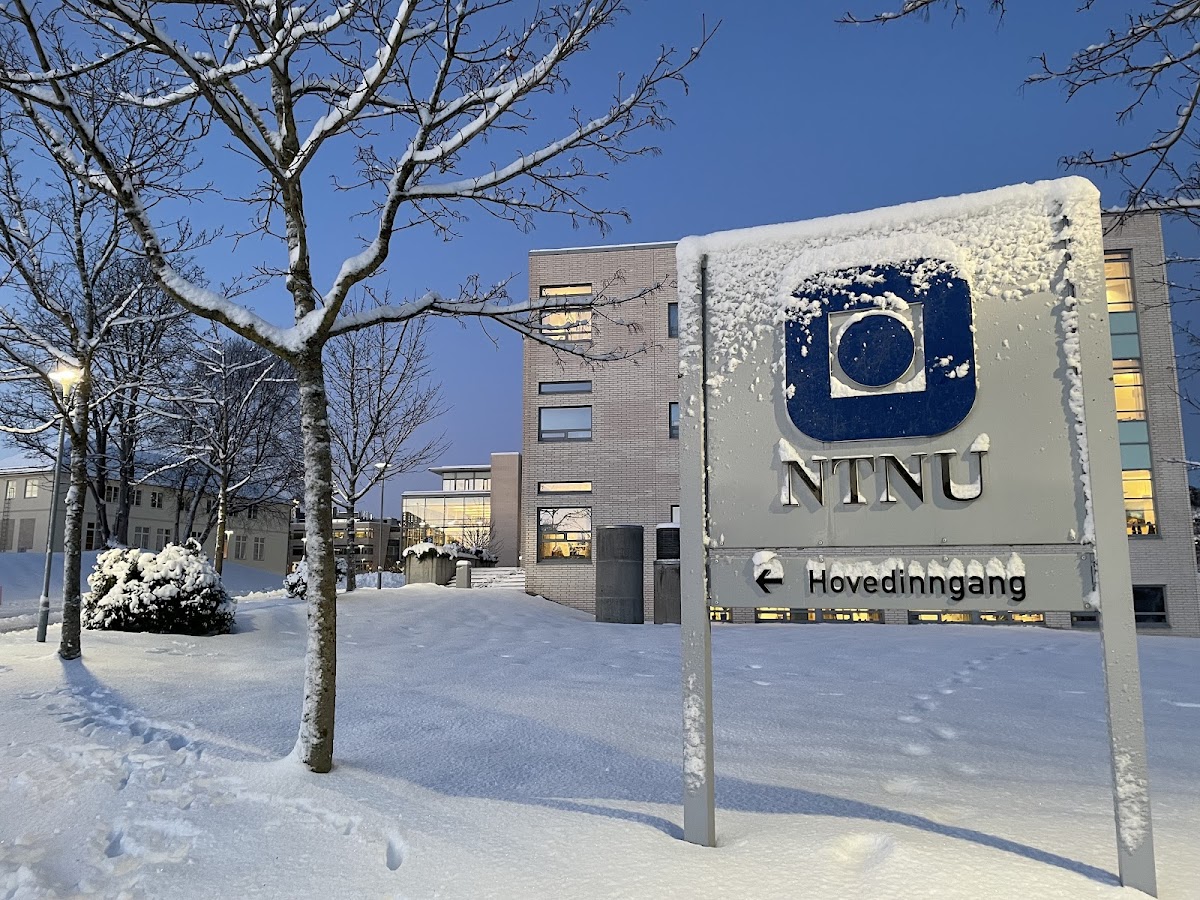 Aalesund University College photo 6