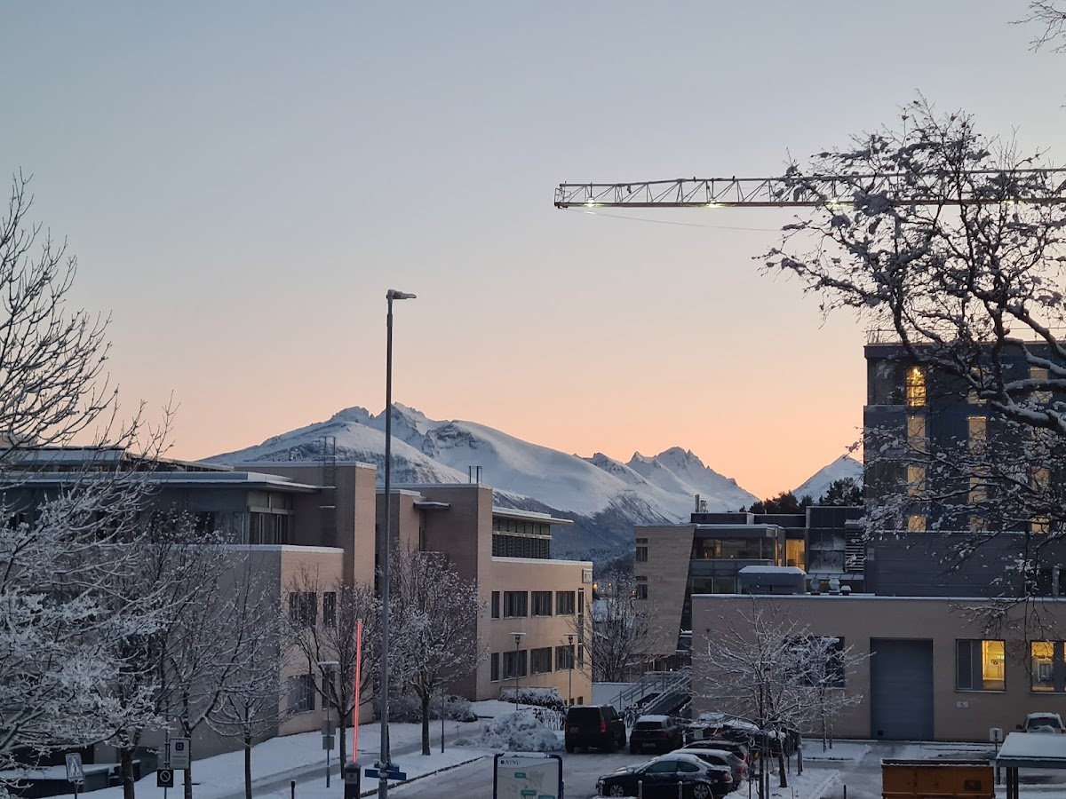 Aalesund University College photo 7