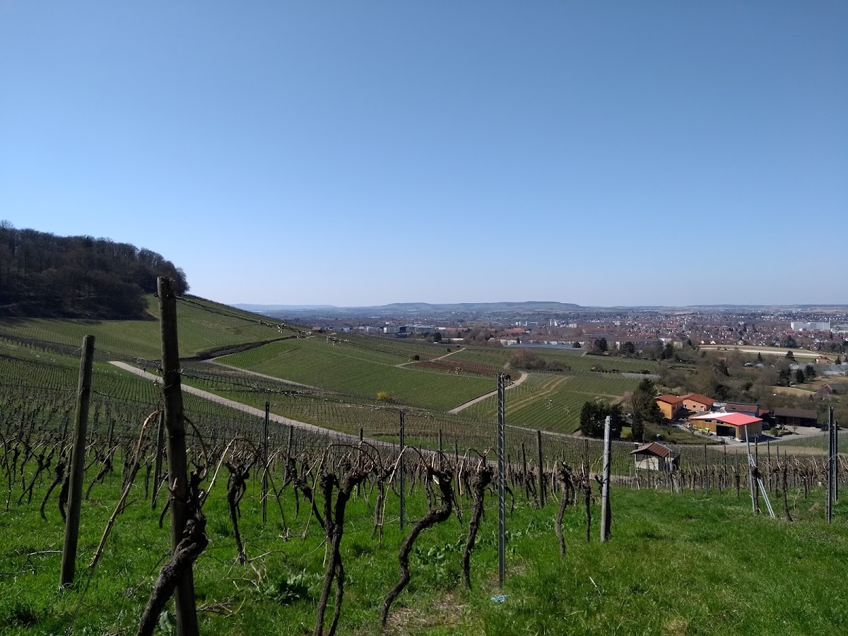 Hochschule Heilbronn photo 5