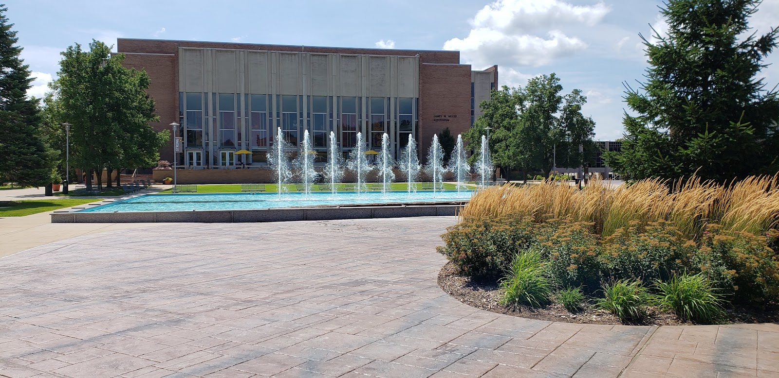 Western Michigan University