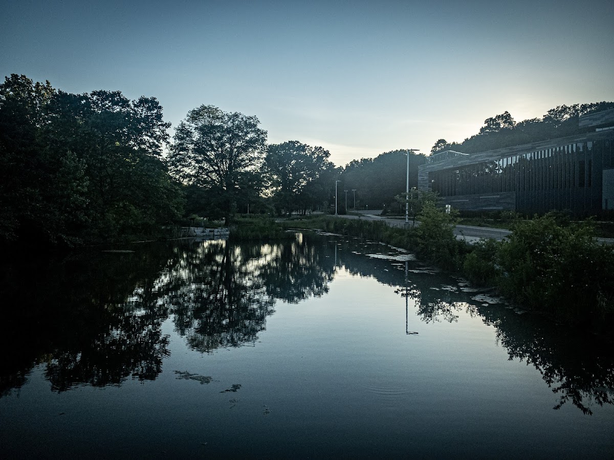 Western Michigan University photo 6