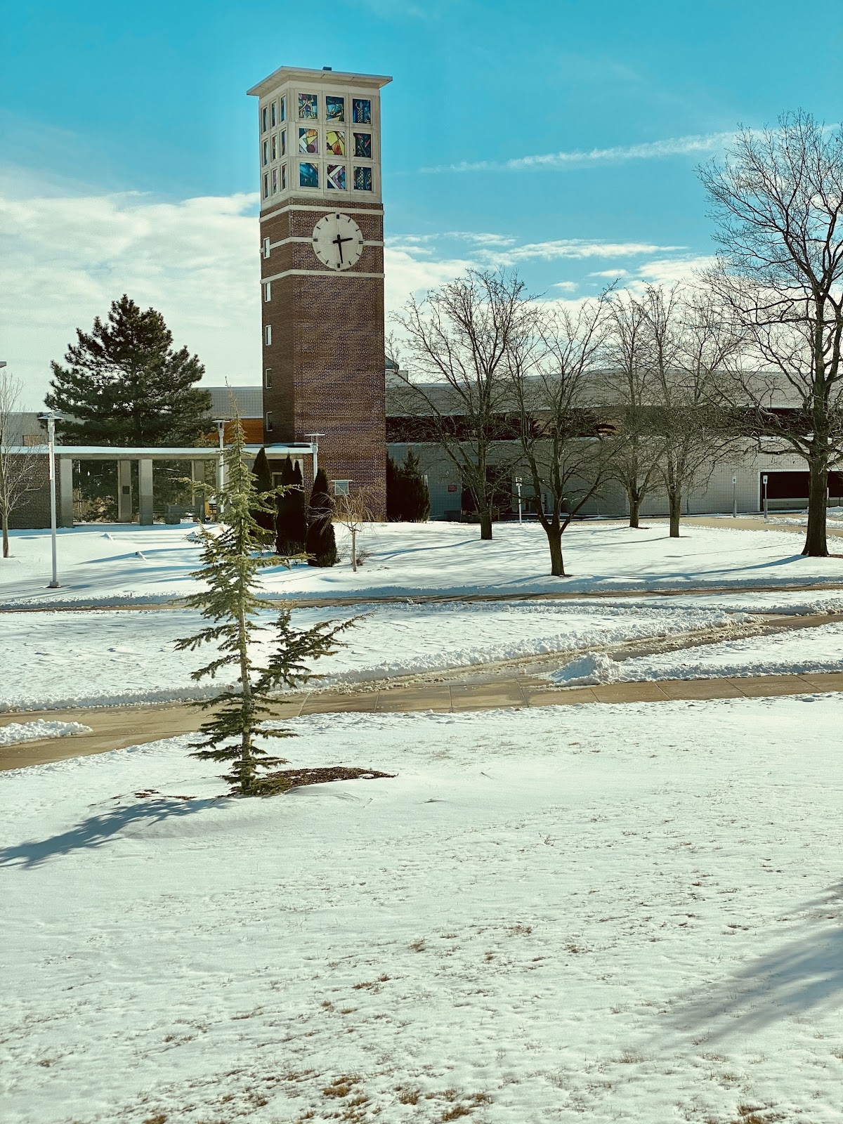 Western Michigan University photo 8