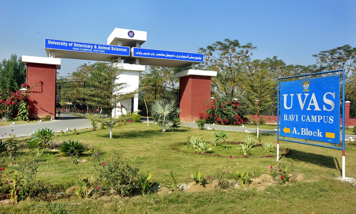 University of Veterinary and Animal Sciences, Lahore