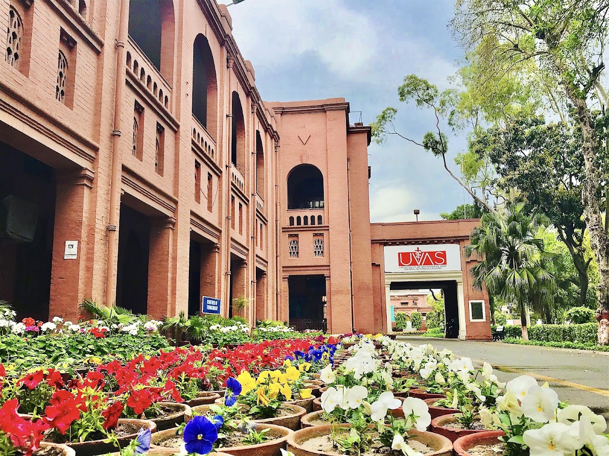 University of Veterinary and Animal Sciences, Lahore photo 3