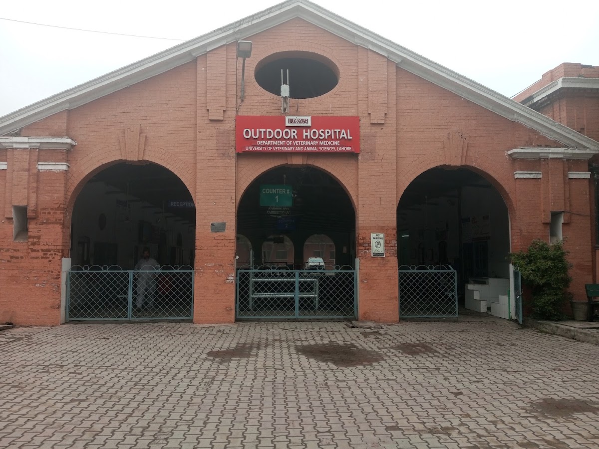 University of Veterinary and Animal Sciences, Lahore photo 5