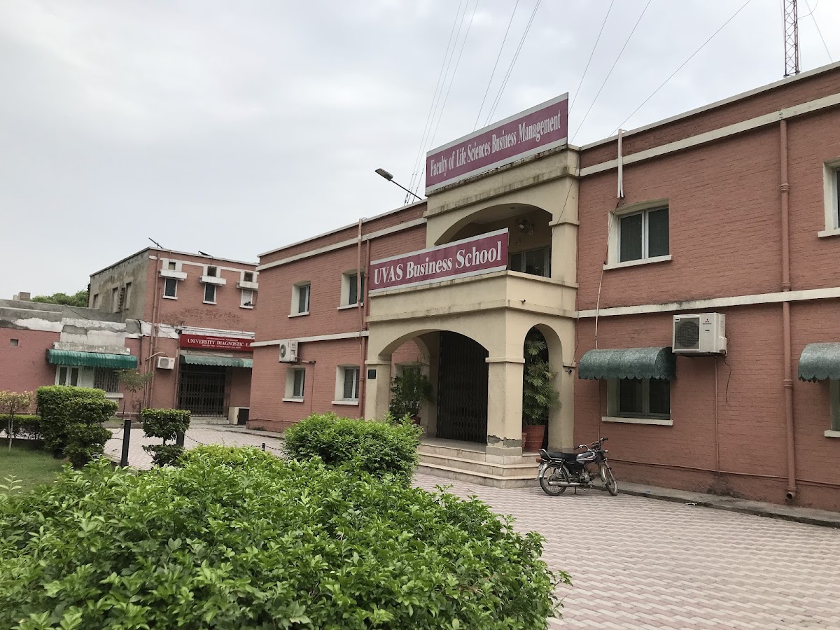 University of Veterinary and Animal Sciences, Lahore photo 6