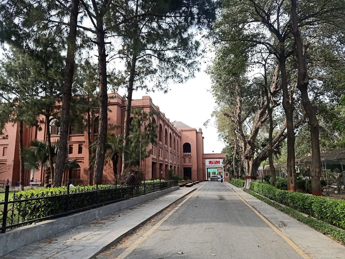 University of Veterinary and Animal Sciences, Lahore photo 7