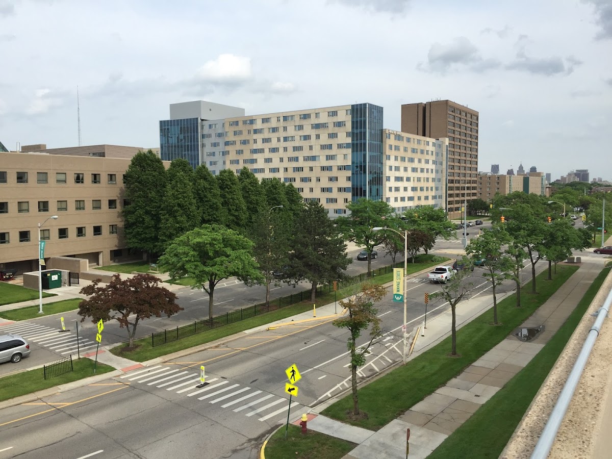 State University 3367 photo 6