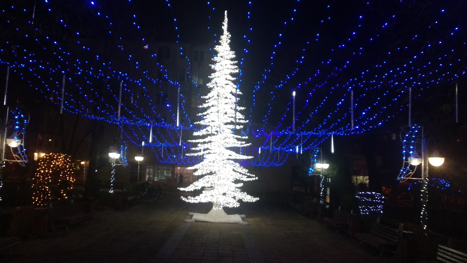 Medical University of Varna