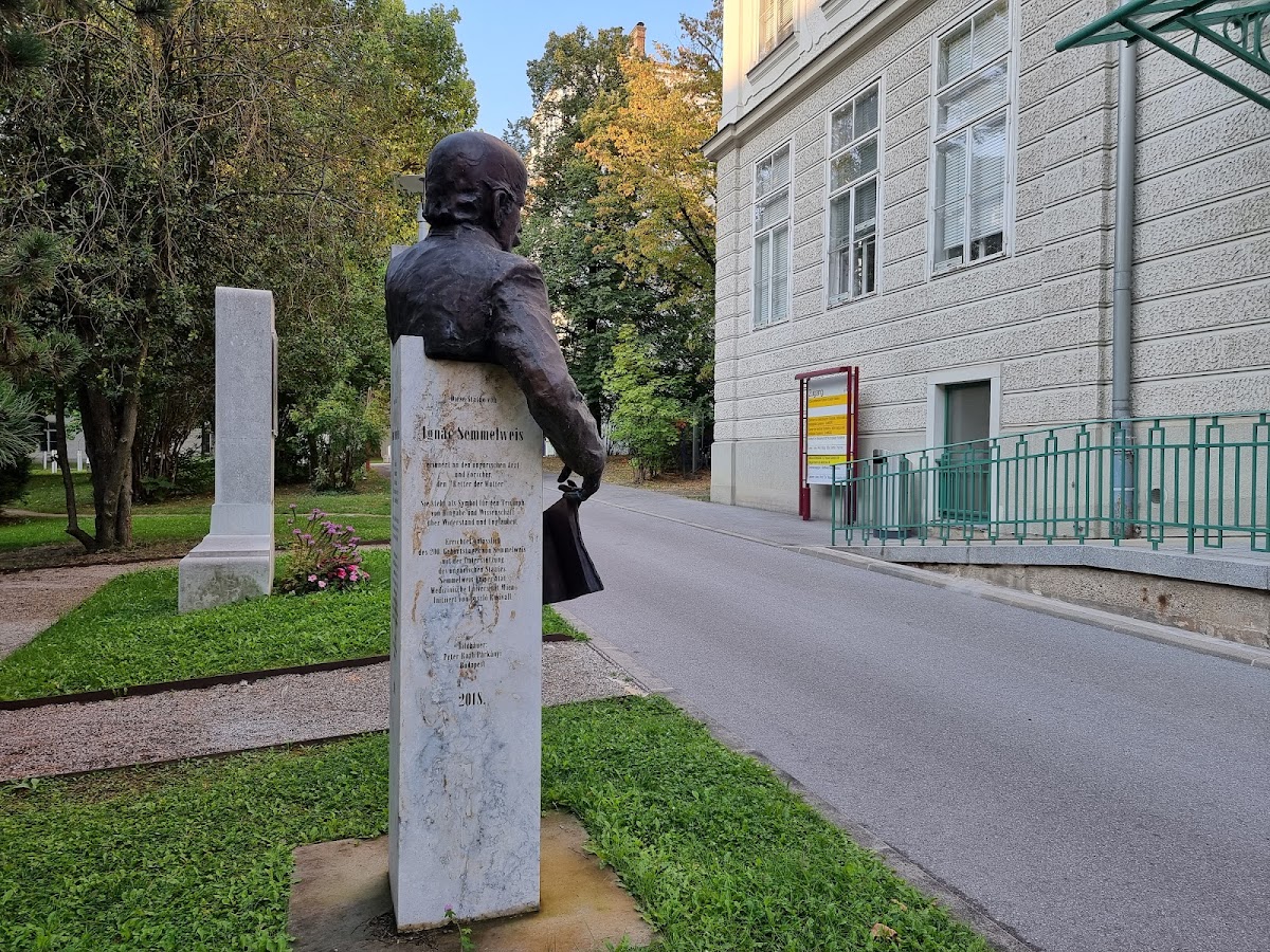 Medical University of Vienna photo 5