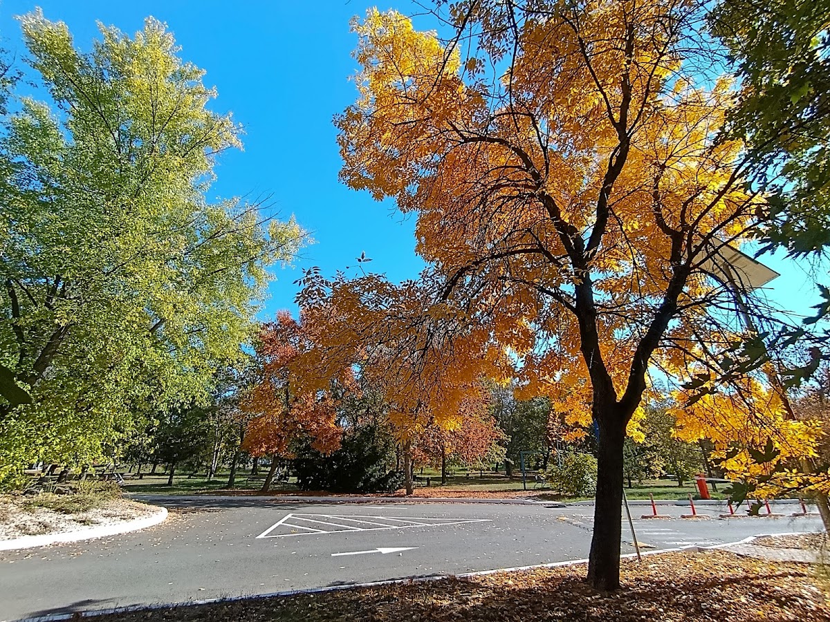 University of Agricultural Sciences and Veterinary Medicine of Banat photo 2