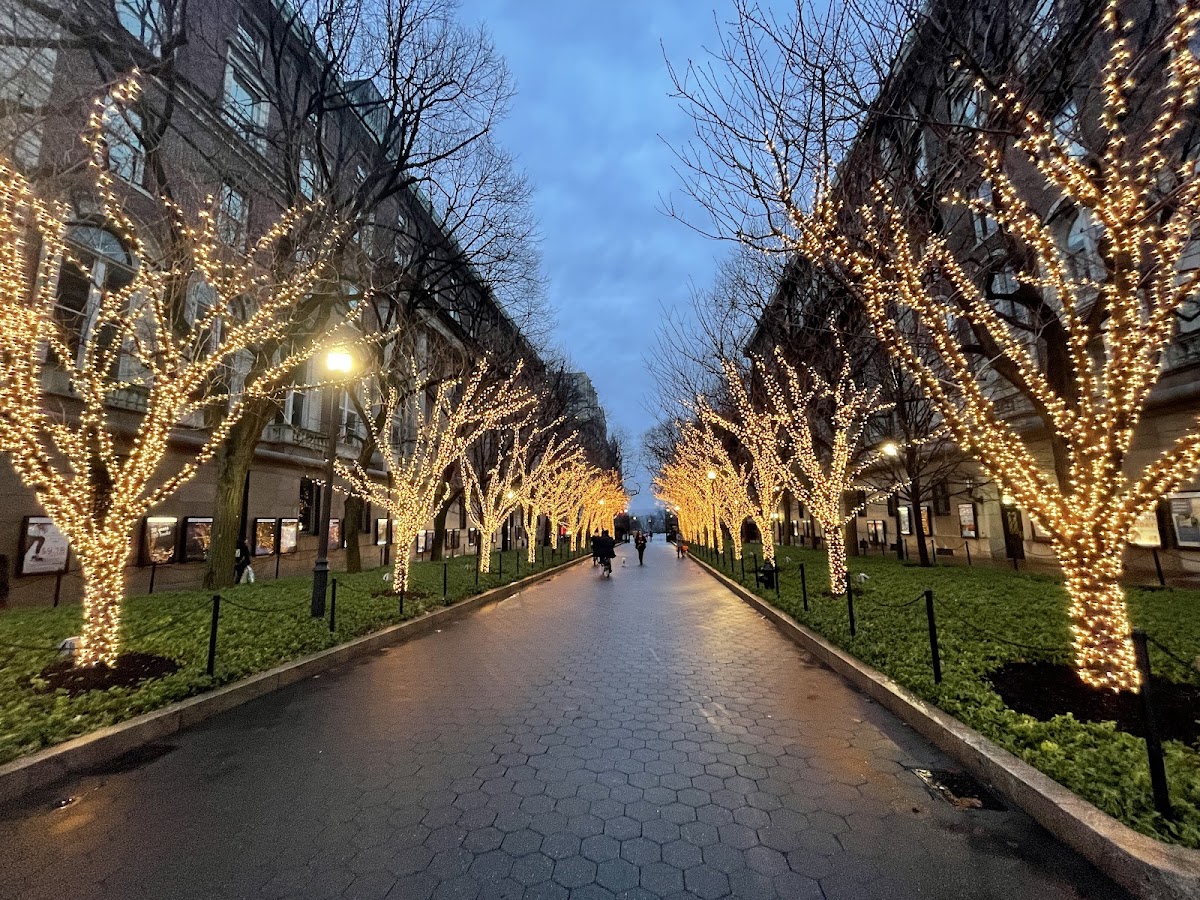 Columbia University photo 5