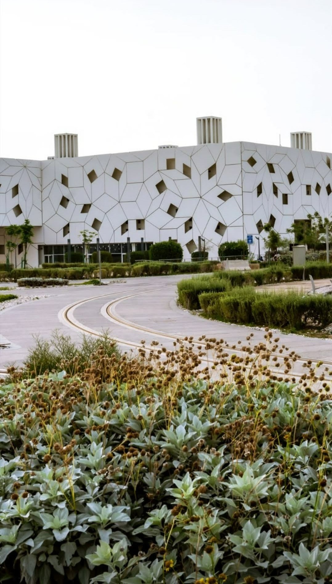 Hamad Bin Khalifa University photo 9
