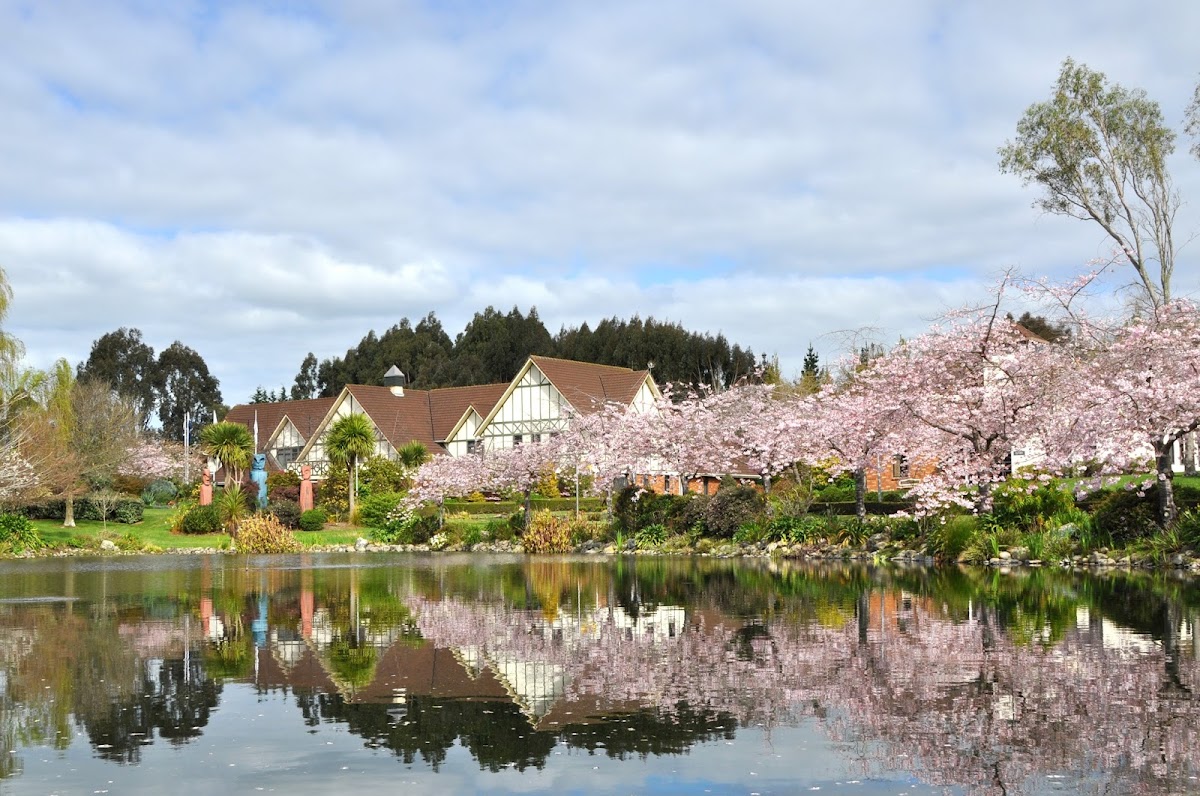 International Pacific College (IPC) photo 1