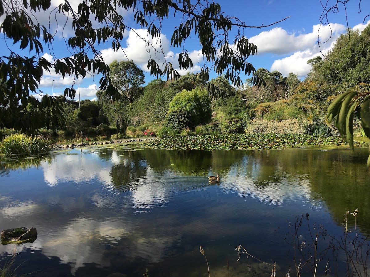 International Pacific College (IPC) photo 7