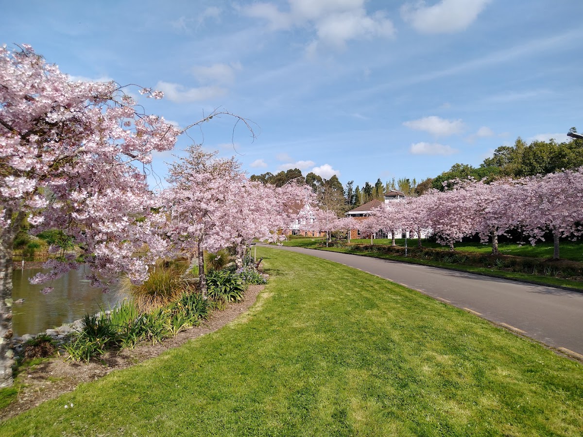 International Pacific College (IPC) photo 9