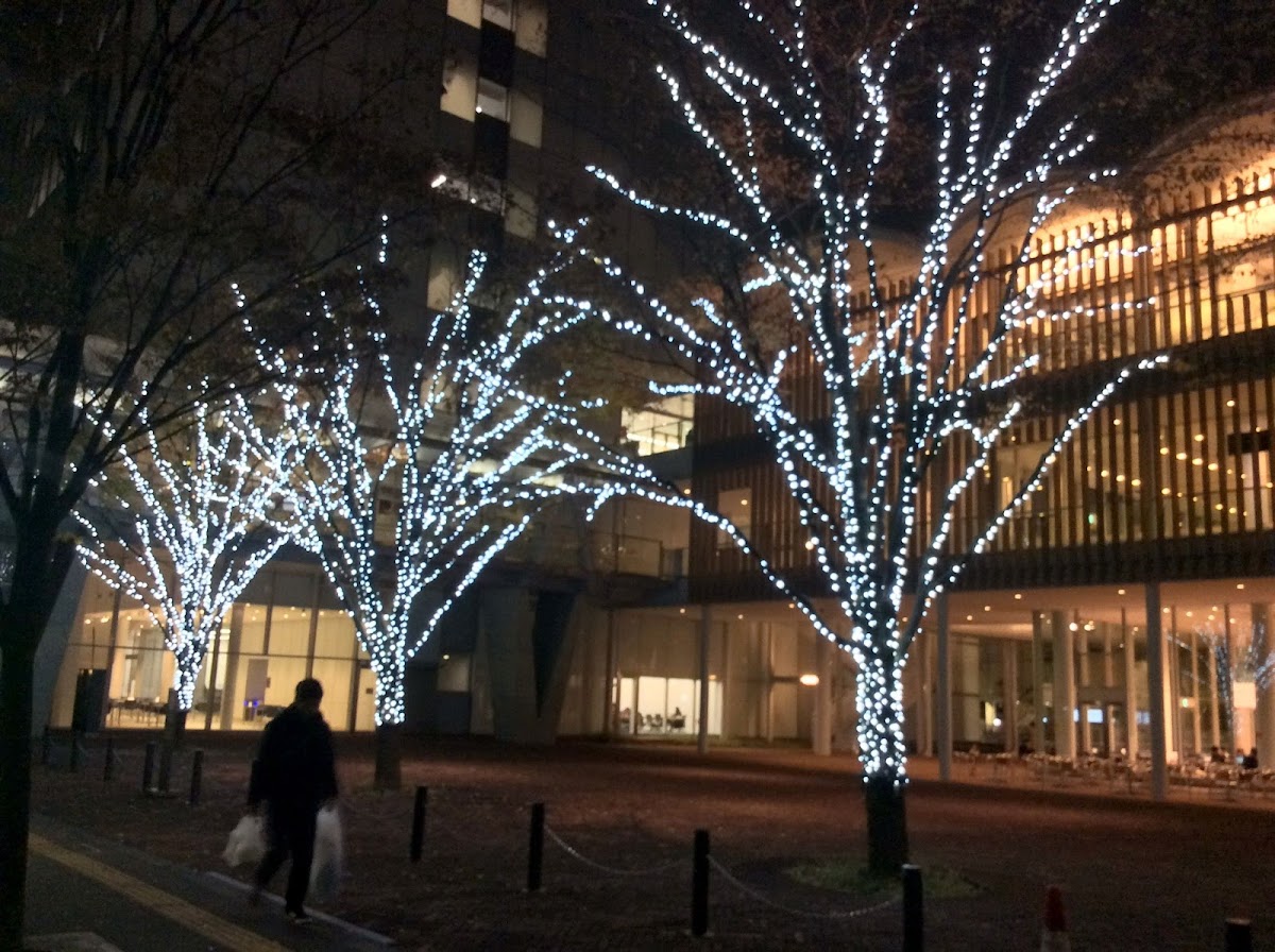 Tokyo Denki University photo 2