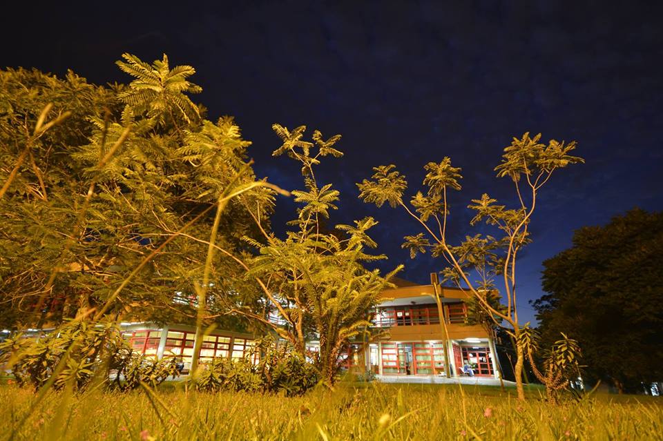 National University of Misiones photo 4