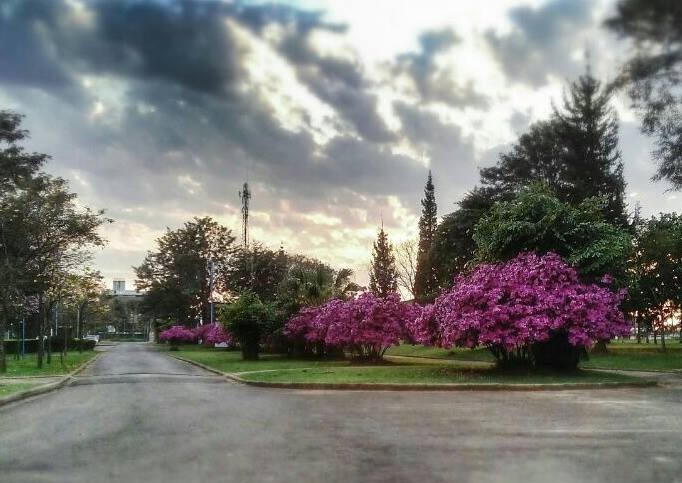 National University of Misiones photo 7