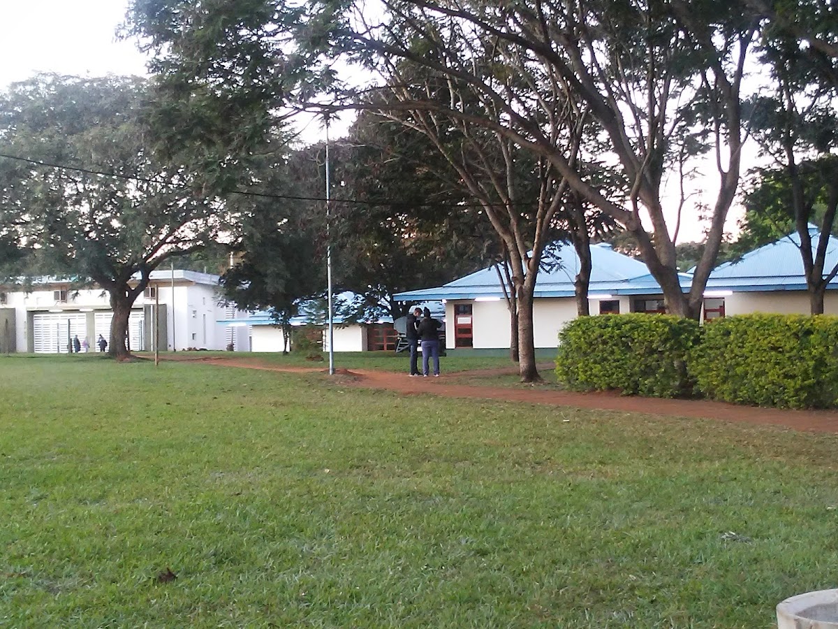 National University of Misiones photo 8