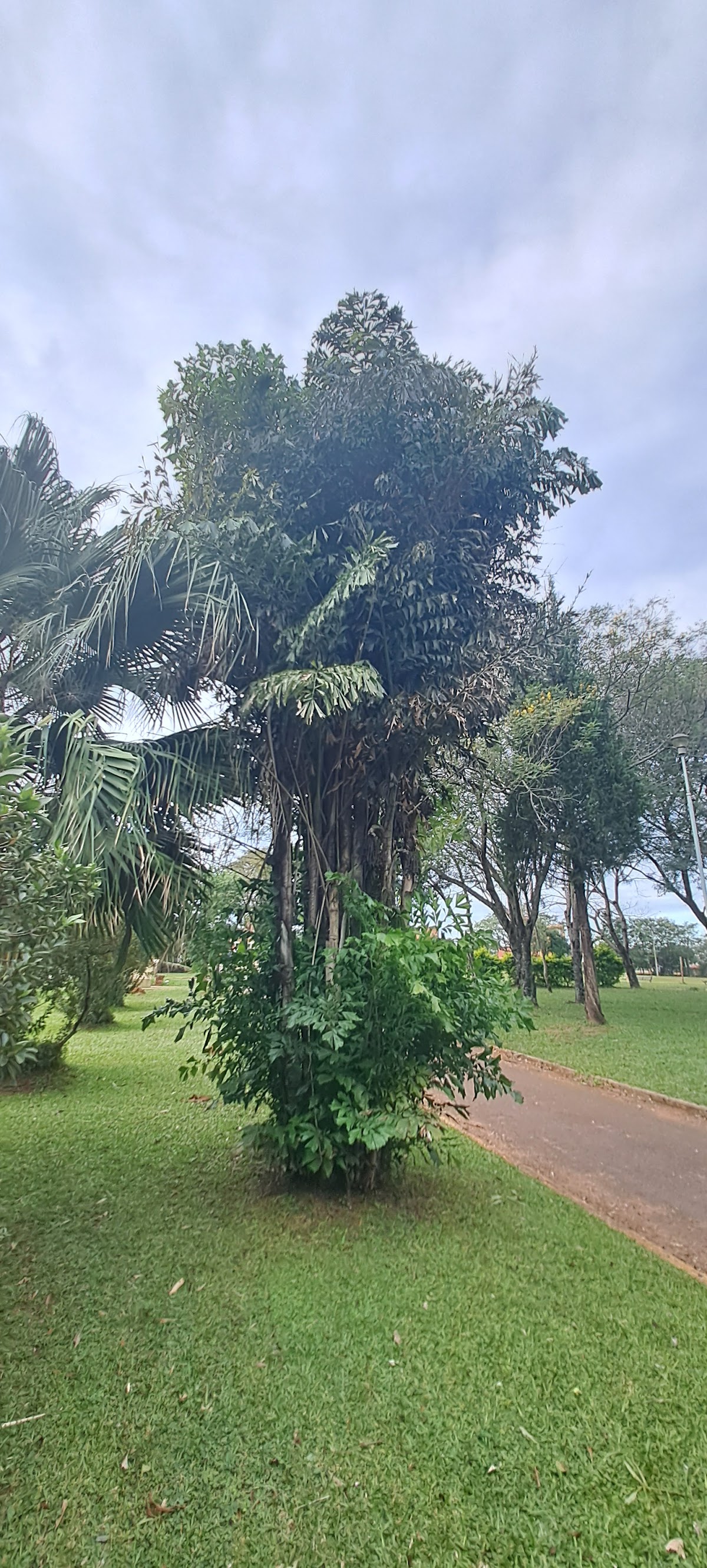 National University of Misiones photo 9