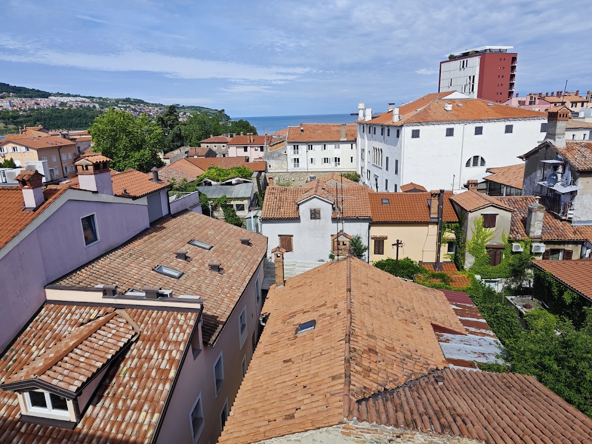 University of Primorska photo 1