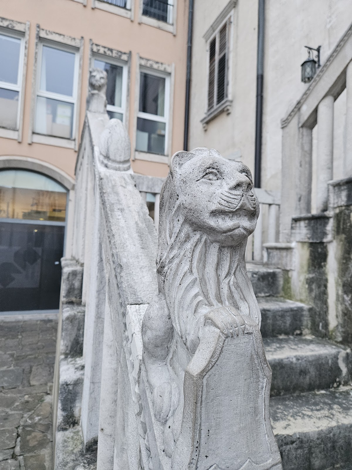 University of Primorska photo 9